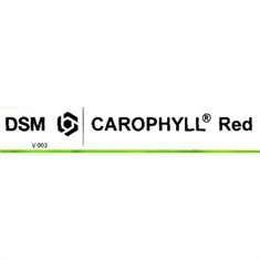 CANTAXANTINA 10%-CAROPHYLL RED (250g) - DSM