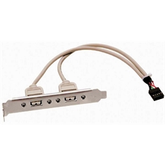 Cabo USB para placa mãe (plug de 9 pinos)