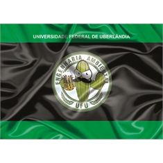 Bandeira Engenharia Ambiental UFU