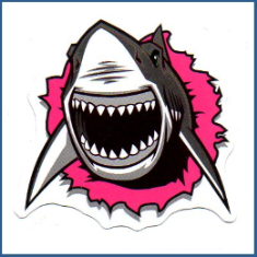 Adesivo Shark