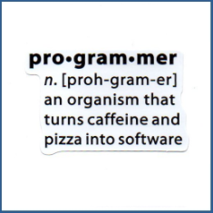 Adesivo Programmer (Definition)