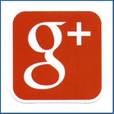 Adesivo Google Plus Icon
