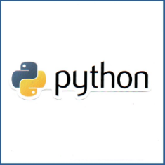 Adesivo Python - Model 3