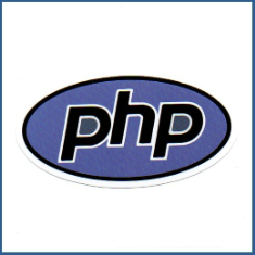 Adesivo PHP - Model 3