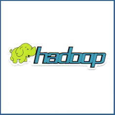 Adesivo Hadoop - Model 2