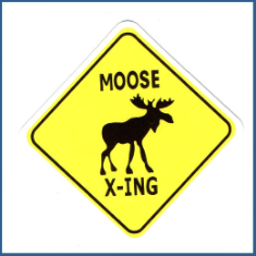 Adesivo Moose