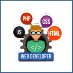 Adesivo Web Developer