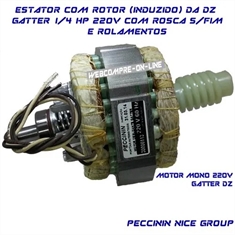 Estator Do Motor Dz Gatter 1/4HP Peccinin Mono 220v60hz C/induzido