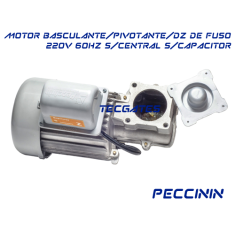 Motor BV / PV / DF F2000 V4 60HZ S/CP Voltagem a escolher Peccinin - 220V