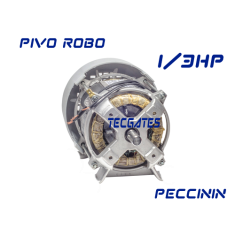 Motor Pivô Robô 1/3cv 220v 60hz Peccinin Portão Automático - 220V